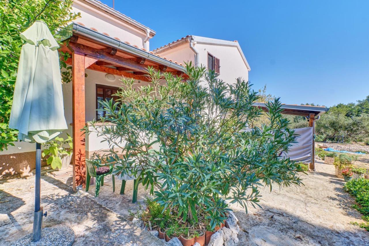 Eco Secluded Apartments Zabodarski Čunski Exteriér fotografie