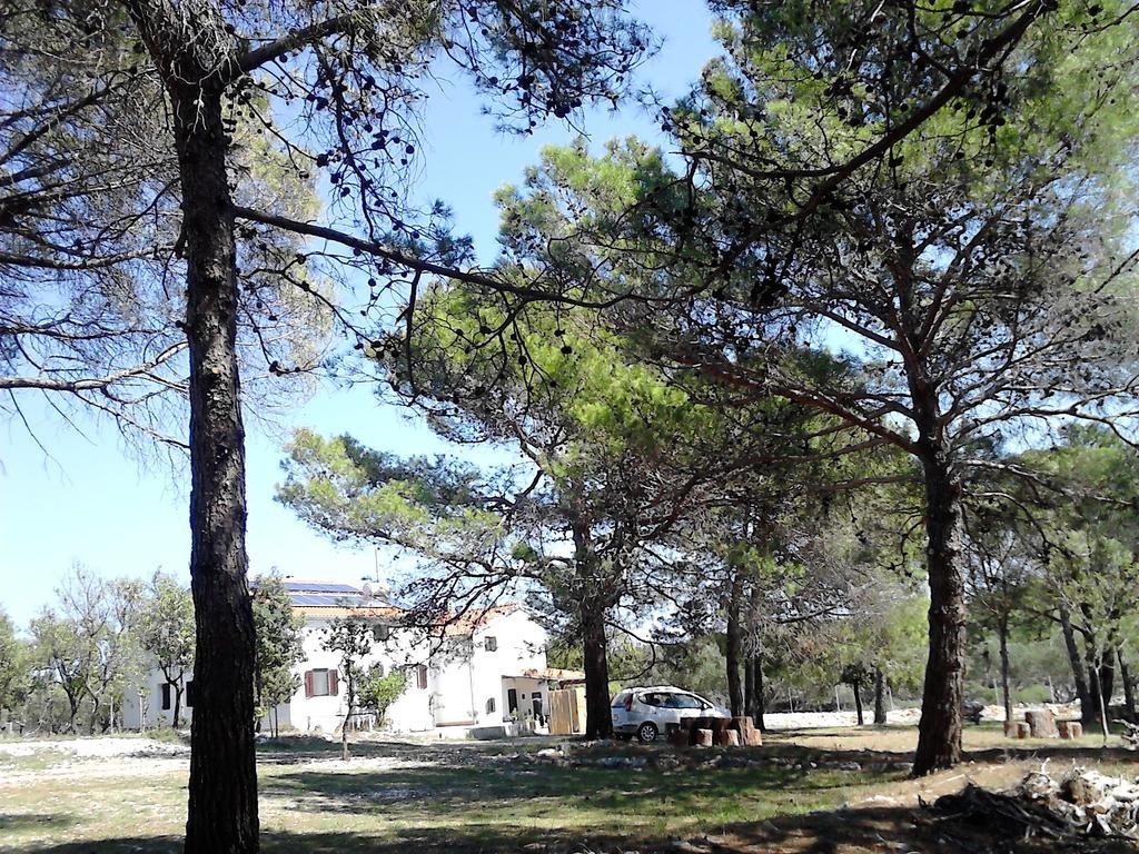 Eco Secluded Apartments Zabodarski Čunski Exteriér fotografie