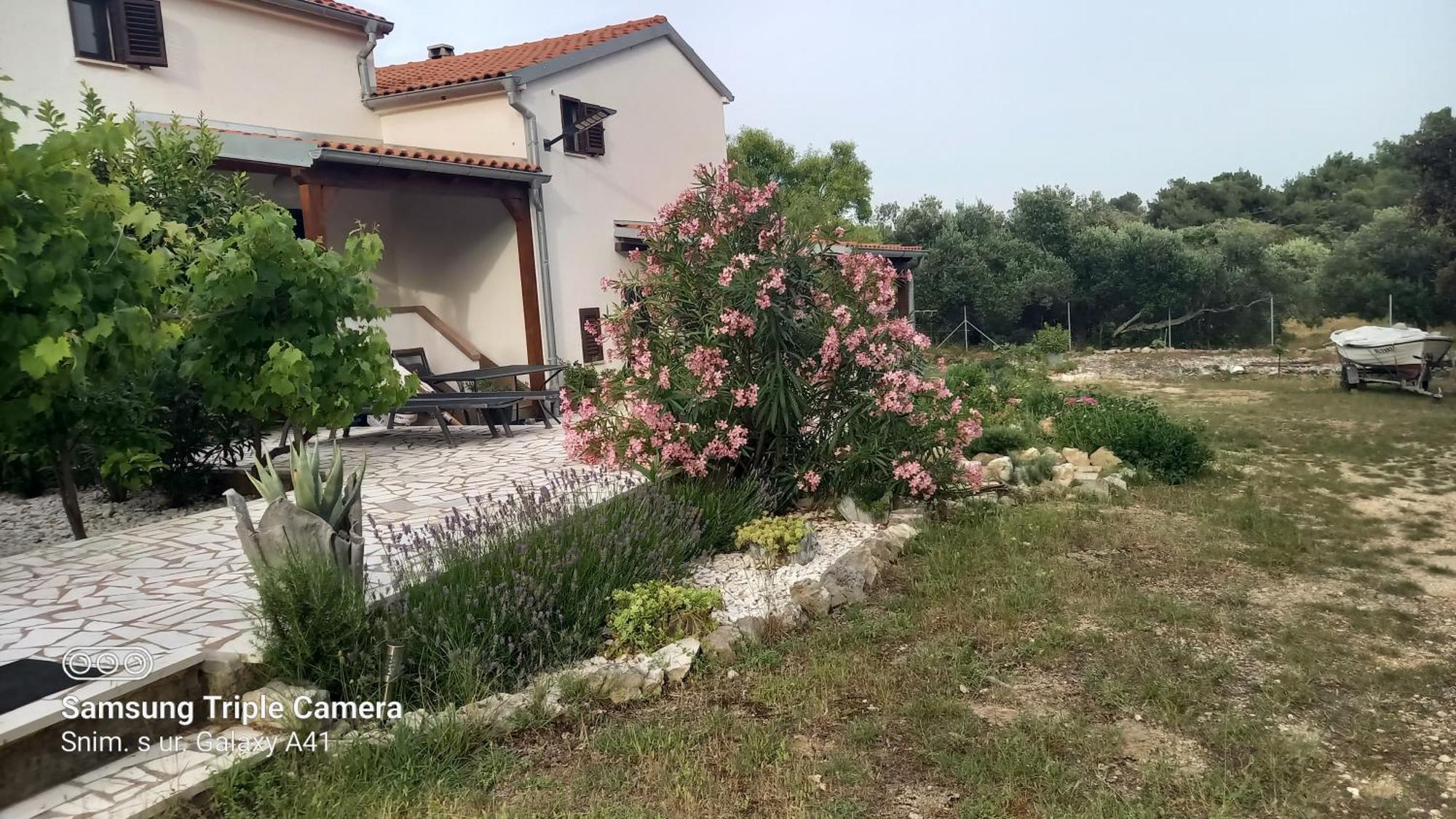 Eco Secluded Apartments Zabodarski Čunski Exteriér fotografie