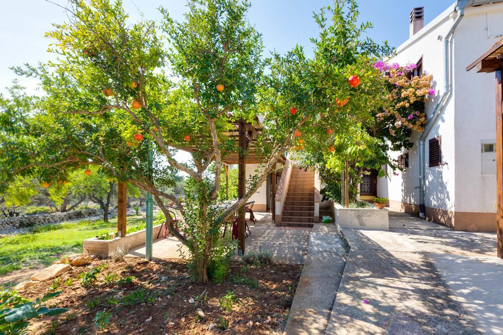 Eco Secluded Apartments Zabodarski Čunski Exteriér fotografie