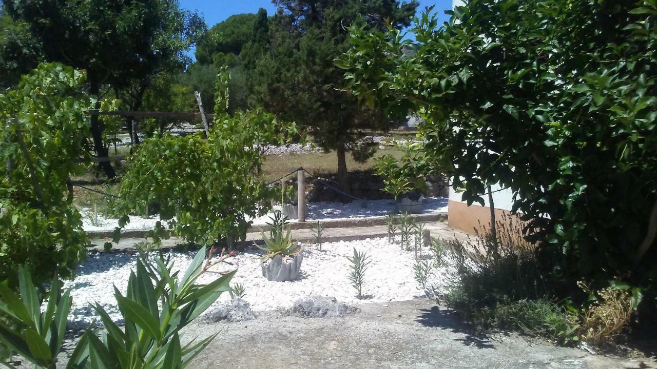 Eco Secluded Apartments Zabodarski Čunski Exteriér fotografie